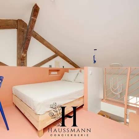 Magnifique Hypercentre Place Stanislas Apartmán *