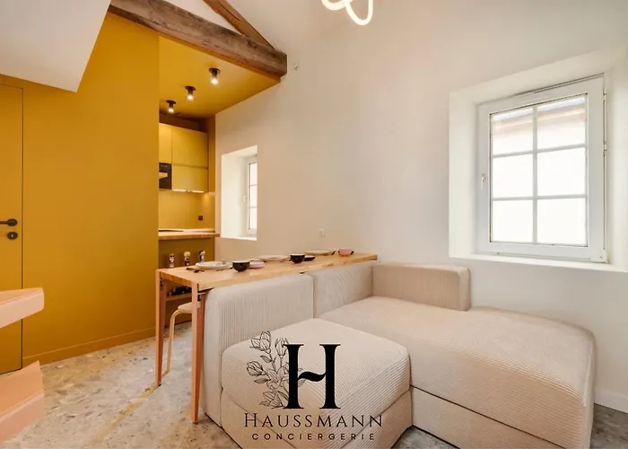 Appartement Magnifique Hypercentre Place Stanislas Nancy