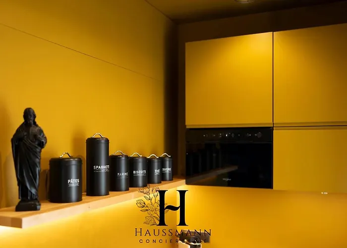 Magnifique Hypercentre Place Stanislas Appartement Nancy