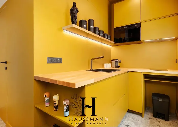 Magnifique Hypercentre Place Stanislas Nancy