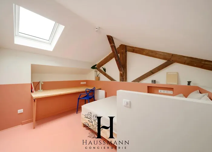 Appartement Magnifique Hypercentre Place Stanislas