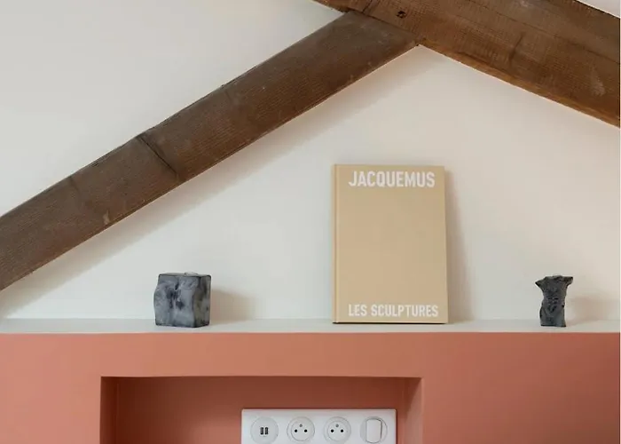 Magnifique Hypercentre Place Stanislas Appartement Nancy